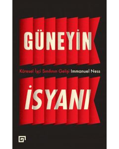 Güneyin İsyanı