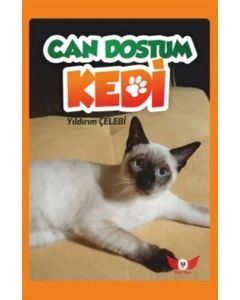 Can Dostum Kedi