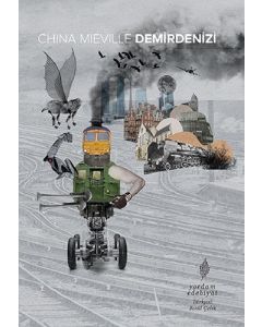 Demirdenizi