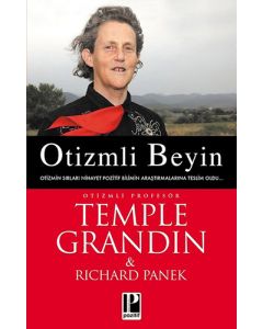 Otizmli Beyin