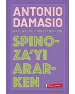 Spinoza'yı Ararken