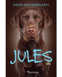 Jules