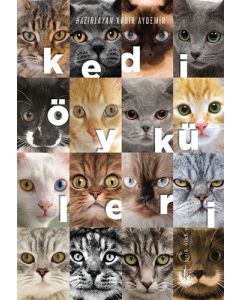 Kedi Öyküleri