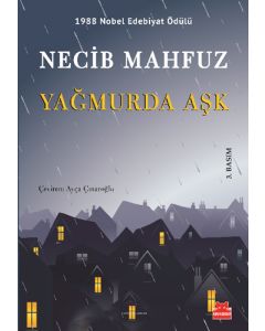 Yağmurda Aşk
