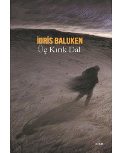 Üç Kırık Dal