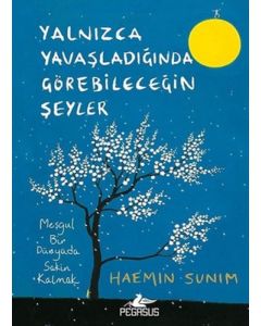 Yalnızca Yavaşladığında Görebileceğin Şeyler