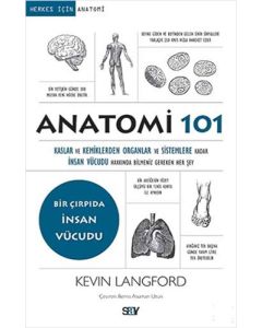 Anatomi 101