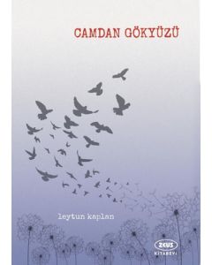 Camdan Gökyüzü