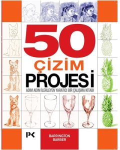 50 Çizim Projesi