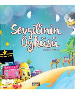 Sevgilinin Öyküsü
