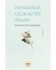 Ihlamurlar Çiçek Açtığı Zaman