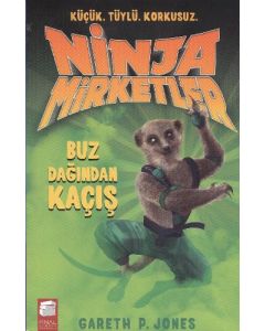 Ninja Mirketler - Buz Dağından Kaçış