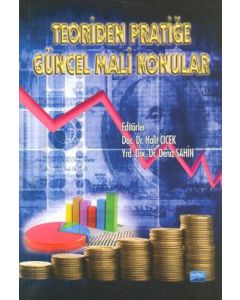 Teoriden Pratiğe Güncel Mali Konular