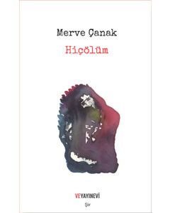 Hiçölüm