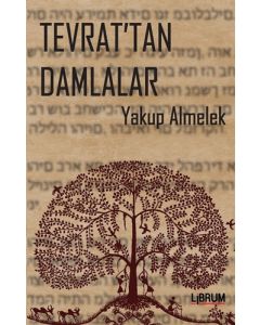 Tevrat'tan Damlalar