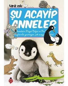 Şu Acayip Anneler