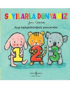 Sayılarla Dünyamız
