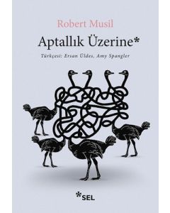 Aptallık Üzerine