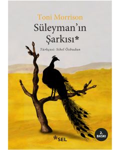 Süleyman’ın Şarkısı
