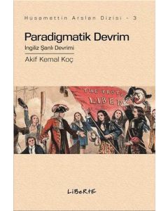 Paradigmatik Devrim