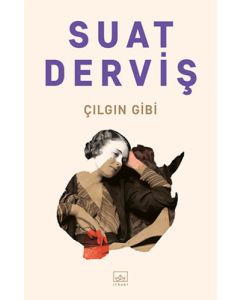 Çılgın Gibi
