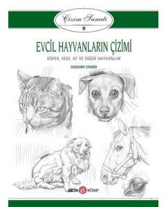 Evcil Hayvanların Çizimi - Çizim Sanatı 9