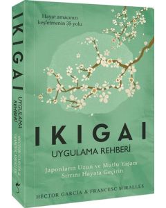 Ikigai - Uygulama Rehberi
