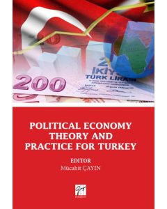 Political Economy Theory and Practice for Turkey