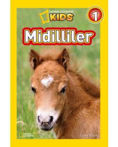 Midilliler