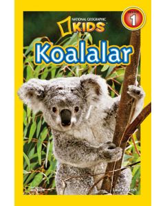 Koalalar - Seviye 1