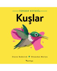 Tepeden Kuyruğa - Kuşlar