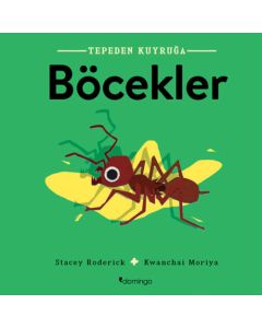 Tepeden Kuyruğa - Böcekler