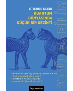 Kuantum Dünyasında Küçük Bir Gezinti