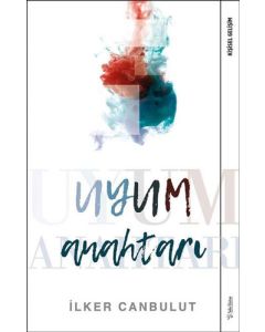 Uyum Anahtarı