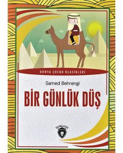 Bir Günlük Düş