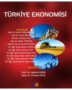 Türkiye Ekonomisi