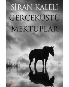 Gerçeküstü Mektuplar