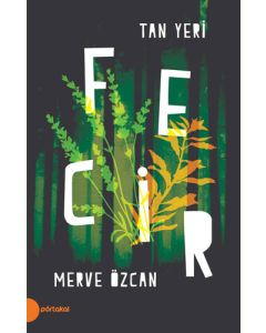 Fecir - Tan Yeri 2