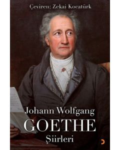 Johann Wolfgang Goethe Şiirleri