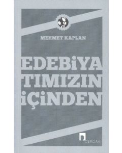 Edebiyatımızın İçinden