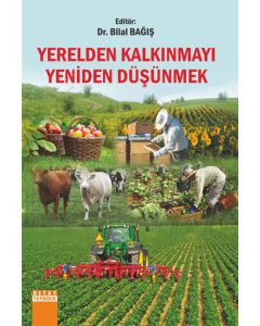 Yerelden Kalkınmayı Yeniden Düşünmek