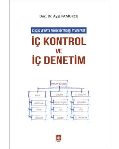 İç Kontrol ve İç Denetim