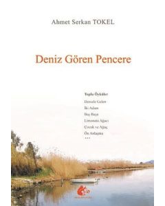 Deniz Gören Pencere