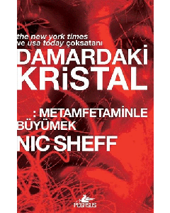 Damardaki Kristal