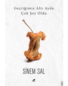 Geçtiğimiz Altı Ayda Çok Şey Oldu