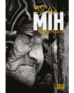 38'lik Mıh