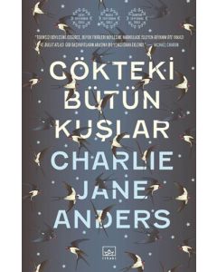 Gökteki Bütün Kuşlar