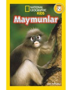 Maymunlar