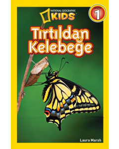 Tırtıldan Kelebeğe