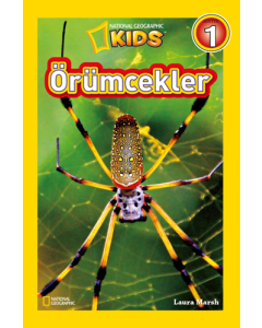 Örümcekler